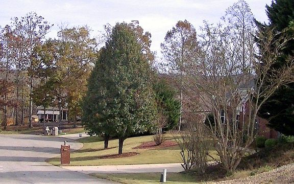 Quiet Cul-de-sac