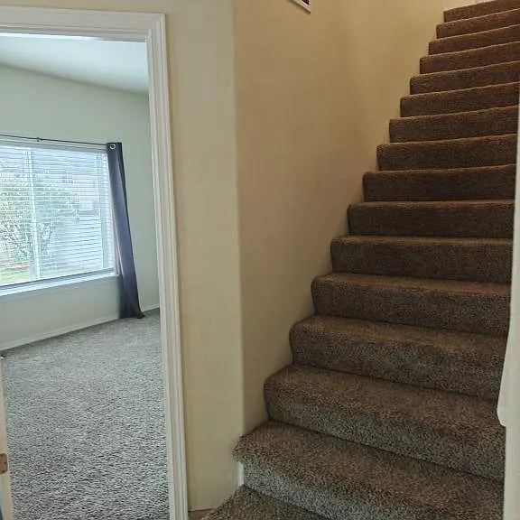 87 Red Cedar St — Photo 10