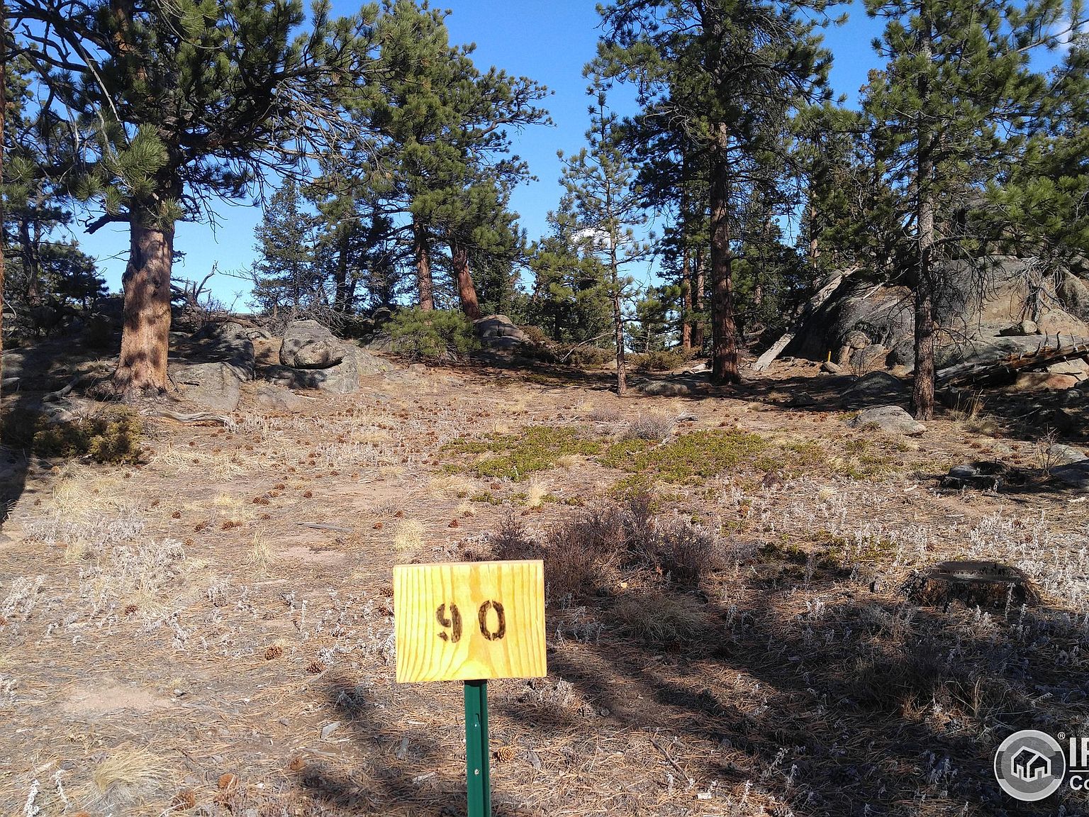 3020 Lake Arapahoe Ct, Red Feather Lakes, CO 80545 MLS 983973 Zillow