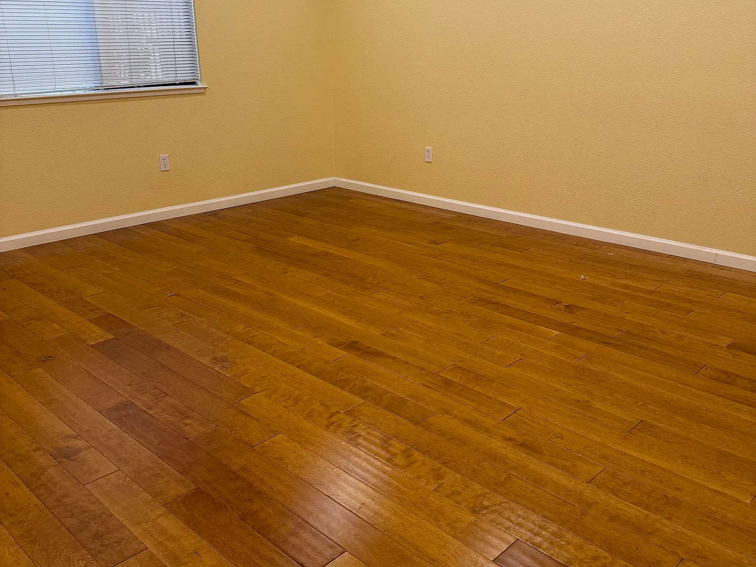 3 bed, 1506 sqft, $4,900 — Photo 4
