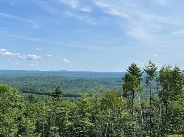 Lot #42B-1 Bear Trap Road, Bridgton, ME 04029