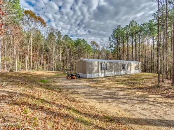 208 Tate St, Pelahatchie, MS 39145