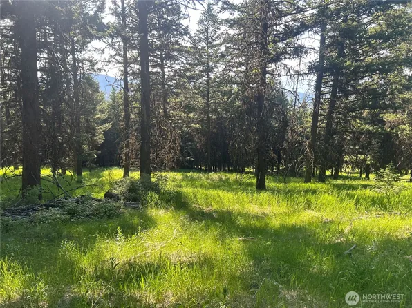 0 TBD Janet Marie Road, Tonasket, WA 98855