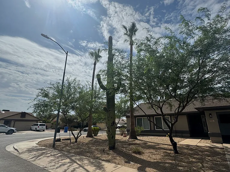 4061 E Taro Ln — Photo 1