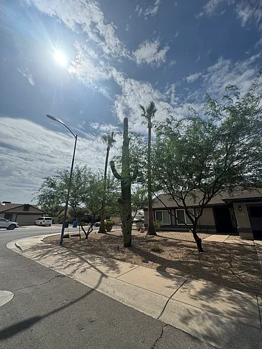 4061 E Taro Ln Photo 1