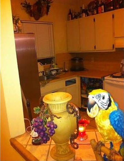 2nd image of 5212 W 24th Way #19-D