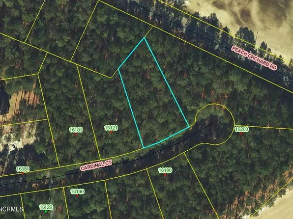 15 Cardinal Court, Wagram, NC 28396