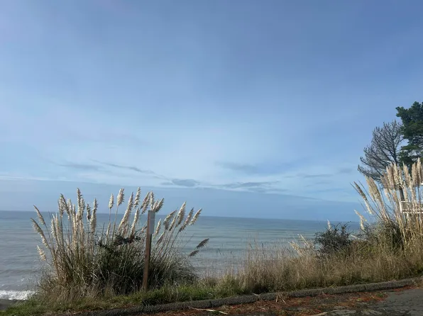92 Eel Ct, Whitethorn, CA 95589
