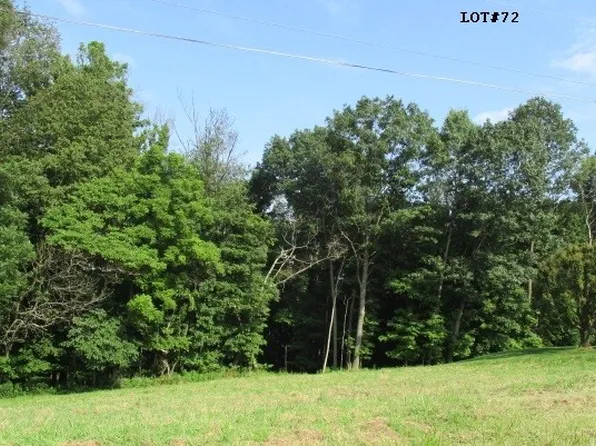 72 Gregg Ave, Bloomingdale, OH 43910