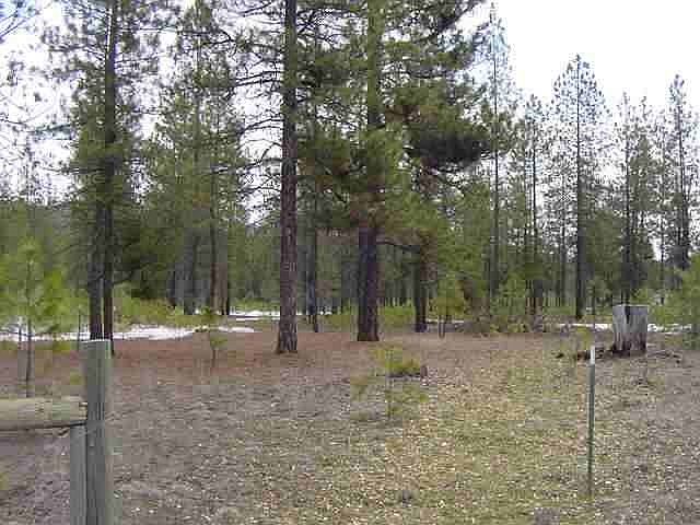 2nd image of 5591 N Corkscrew Canyon Rd