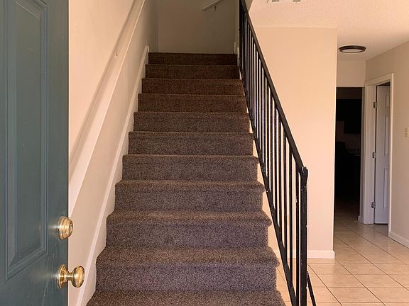 New carpet on stair case at the front door over looking the living room.