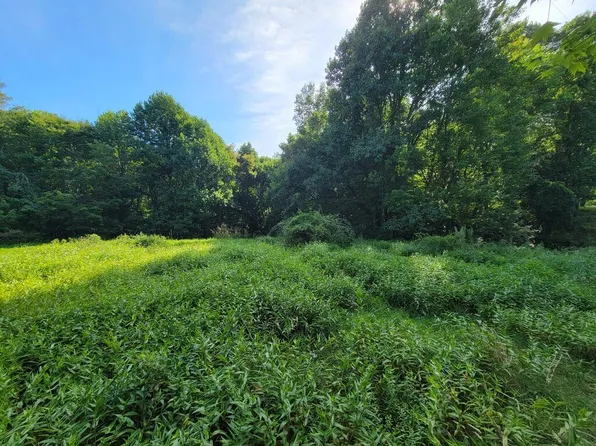 Tbd Grassy Creek Rd, Mouth Of Wilson, VA 24363