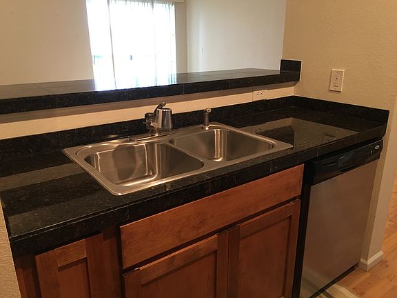 Sink with Disposal and DishWasher