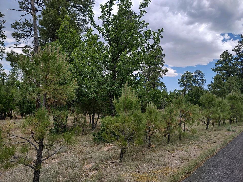 2nd image of 4579 Juniper Dr