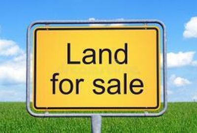0 Gaines Cir, Cottageville, SC, 29435