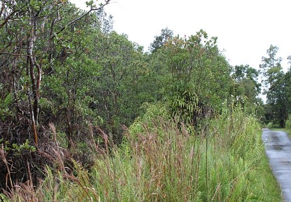 2nd image of Road 1 Lot 33