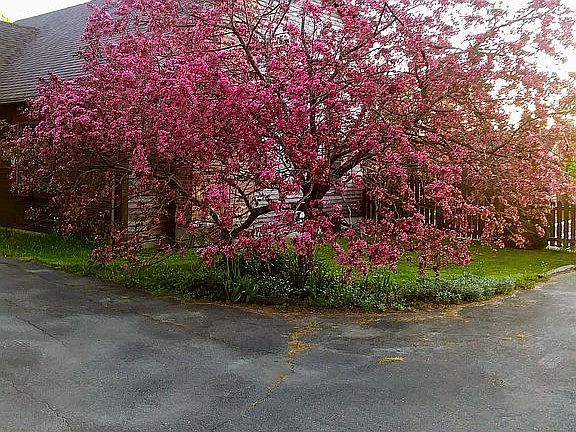 5th image of 1851 Valley Rd