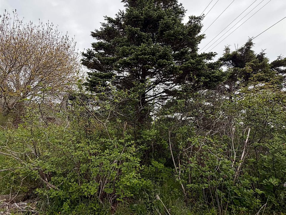 1st image of 3661 Highway 217