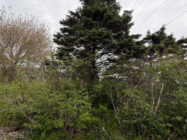 3661 Highway 217, East Ferry, NS B0V 1E0