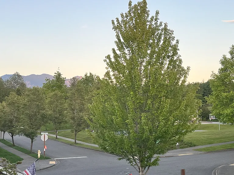 33904 SE Sorenson St — Photo 38