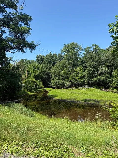 2 bed, $1,600 — Photo 3