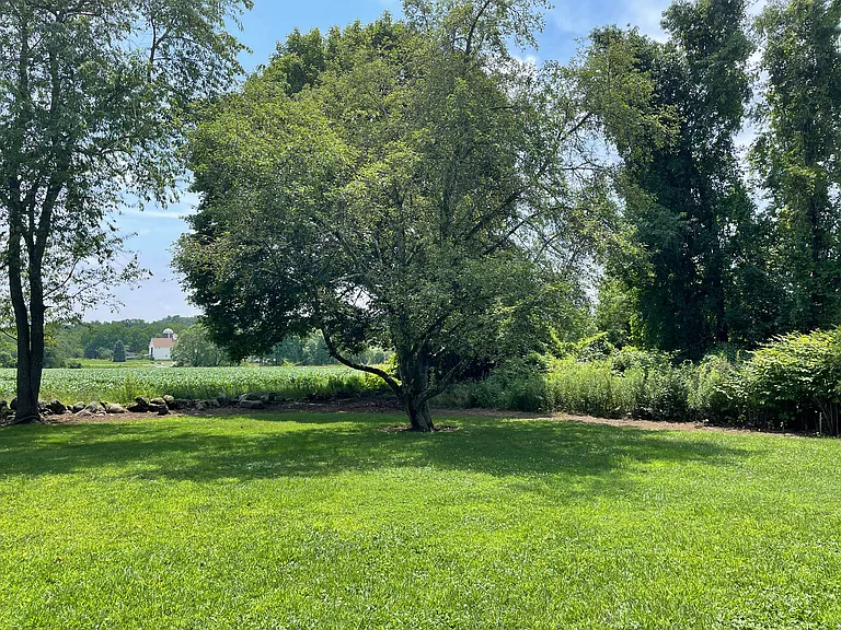 80 Manuel Dr — Photo 10