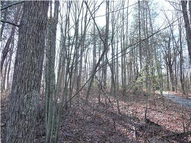 2nd image of 2609 Laurel Creek Rd
