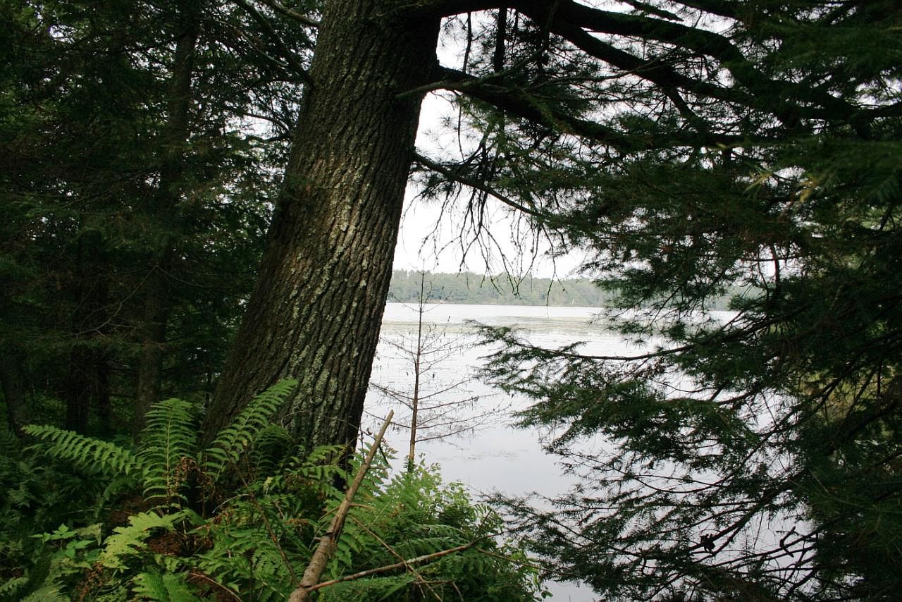 S Crystal Lake Rd PARCEL 1, Land O Lakes, WI 54540 Zillow