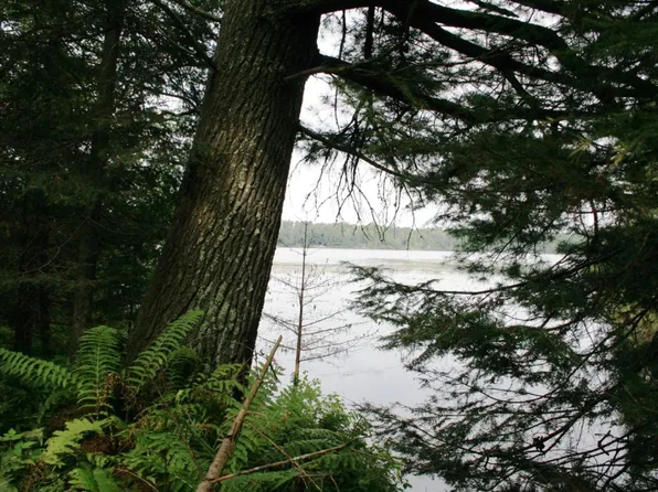 S Crystal Lake Rd Parcel 1, Land O Lakes, WI 54540