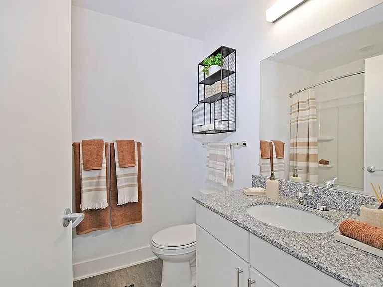 A1 One Bedroom One Bathroom