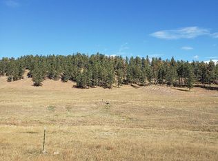 Gold Rush Rd, Custer, SD 57730