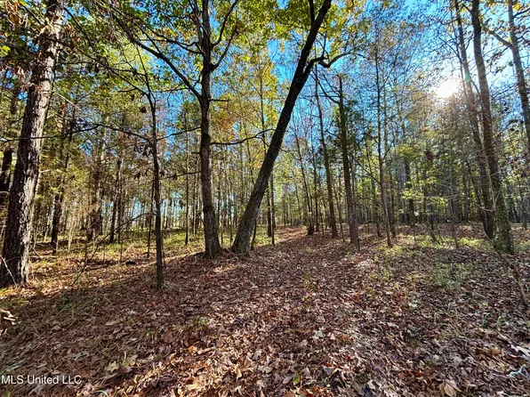 0 County Road 413, Houlka, MS 38850