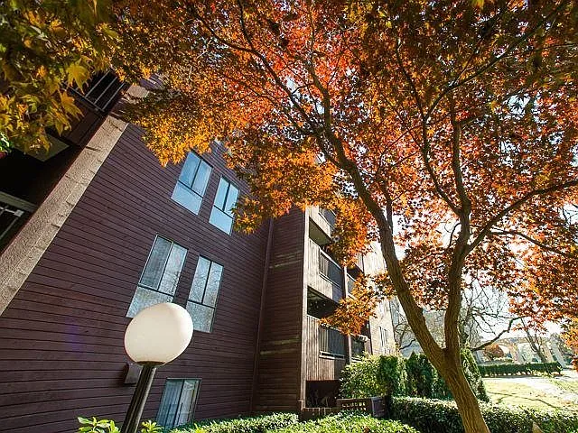 2920 Ash St #3XX — Photo 16
