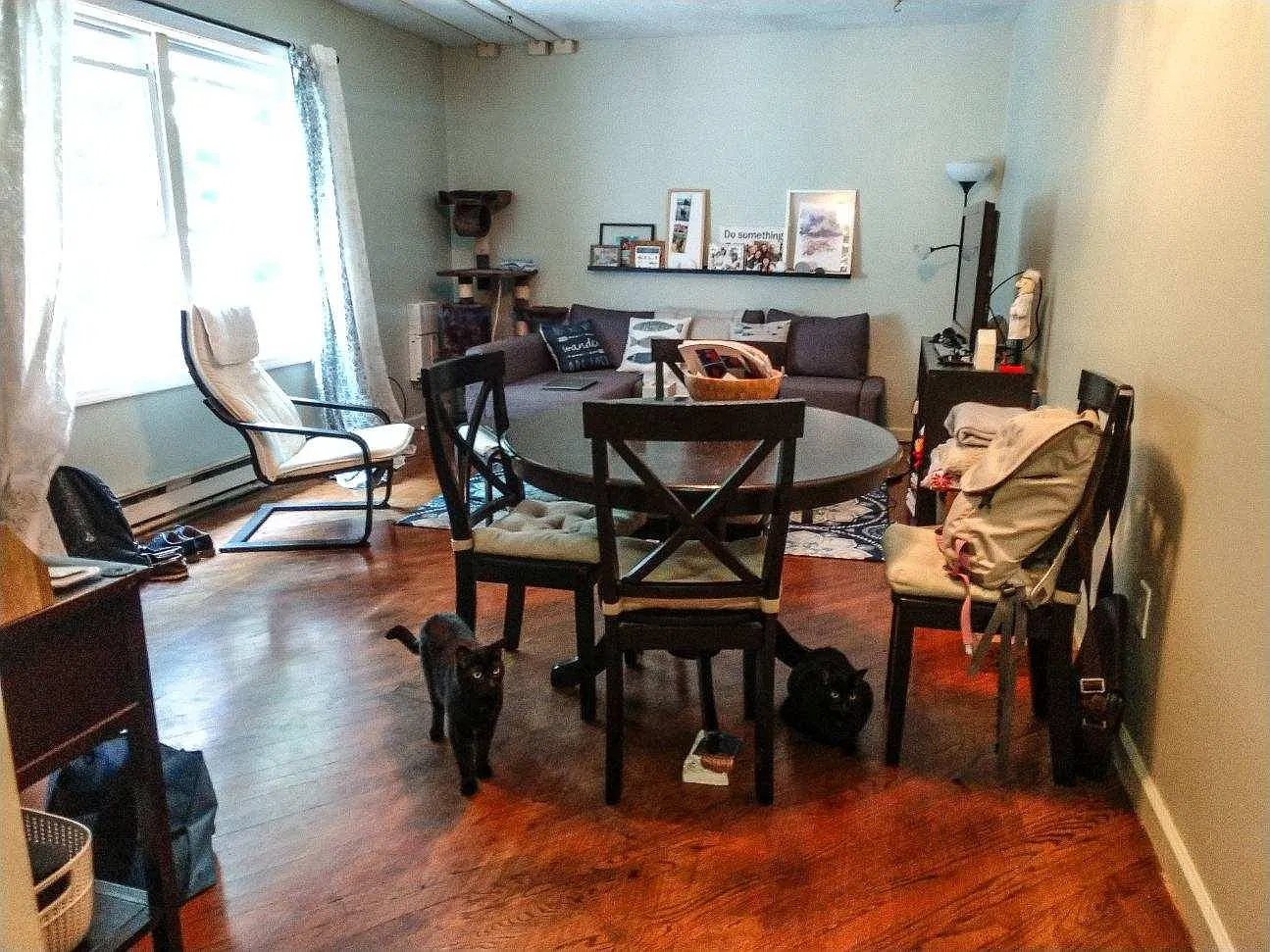 1 bed, 750 sqft, $1,750 — Photo 4