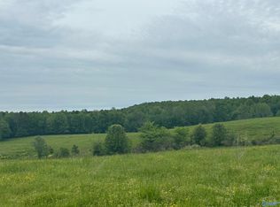 15 Cranford Rd, Arab, AL 35016