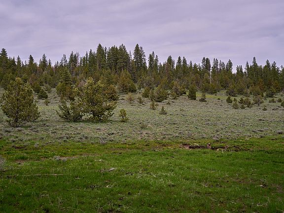 4th image of 0 Fs #3752-TL101