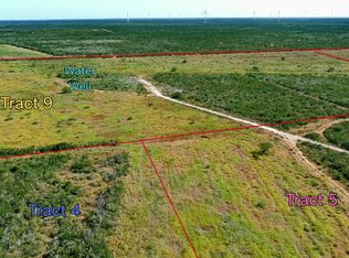 TRACT 9 (43.1) San Pablo Rd, Bruni, TX 78344