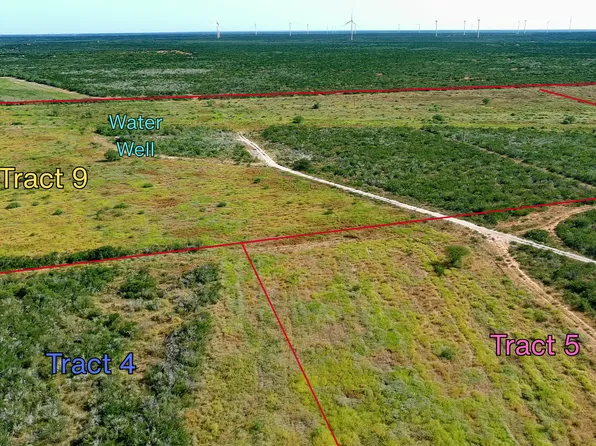 TRACT 9 (43.1) San Pablo Rd, Bruni, TX 78344