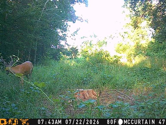 5th image of N 4510th Rd