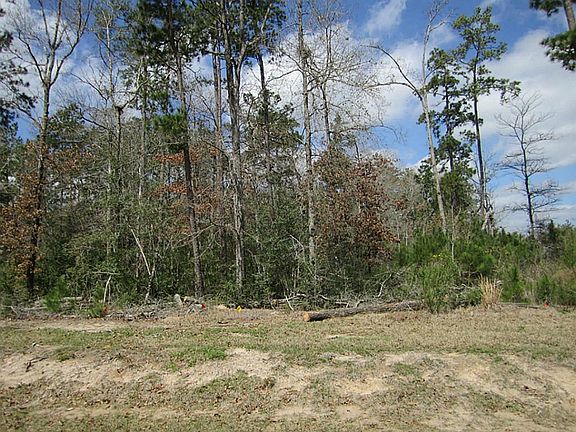 Corner lot on Ossineke Dr. and corner of N. Ossinelle. Facing Ossineke Dr.