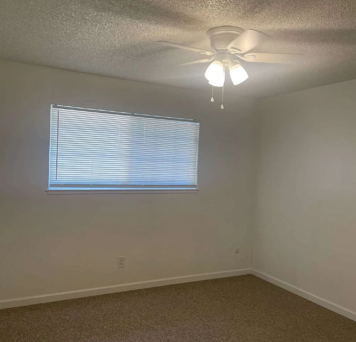 2 bed, 1.0 bath, $1,450 — Photo 4