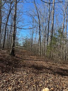 250 Haven Ln, Crawford, TN, 38554