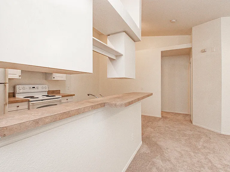 36138 Lake Chase Blvd #294 — Photo 9