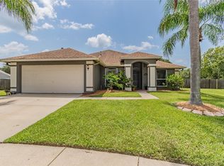 1254 Cord Grass Ct, Wesley Chapel, FL 33543