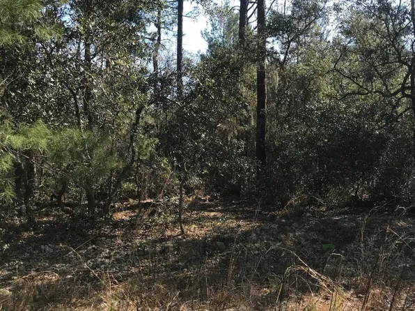 404 MOURNING DOVE Road, Satsuma, FL 32189