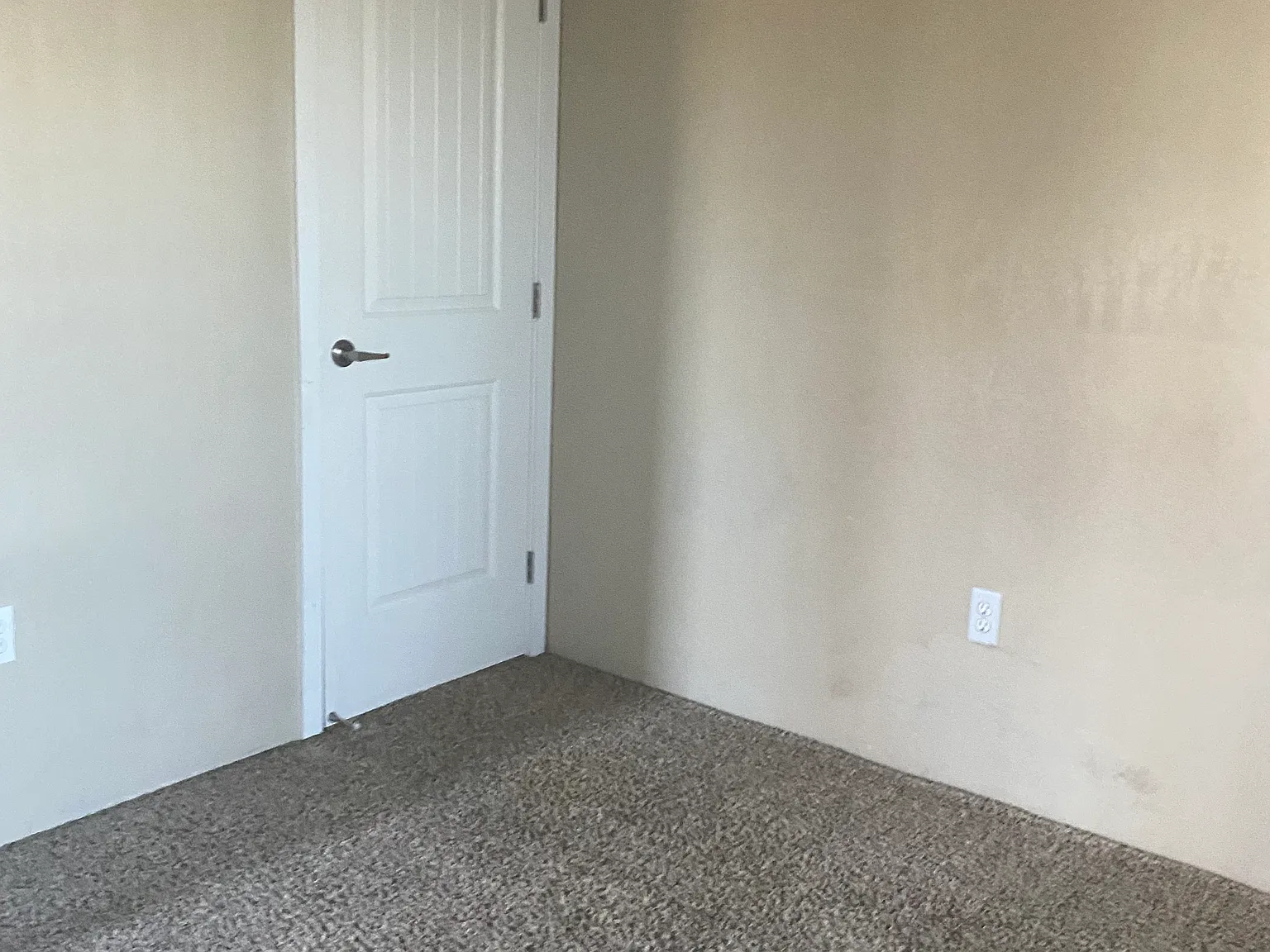 1 bed, 1561 sqft, $900 — Photo 4