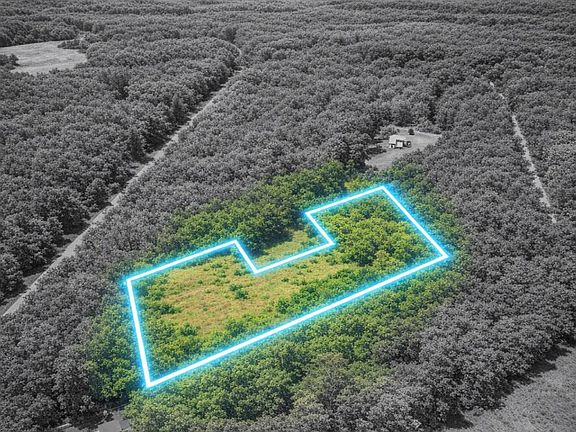 2nd image of 451 Pringlewood Rd