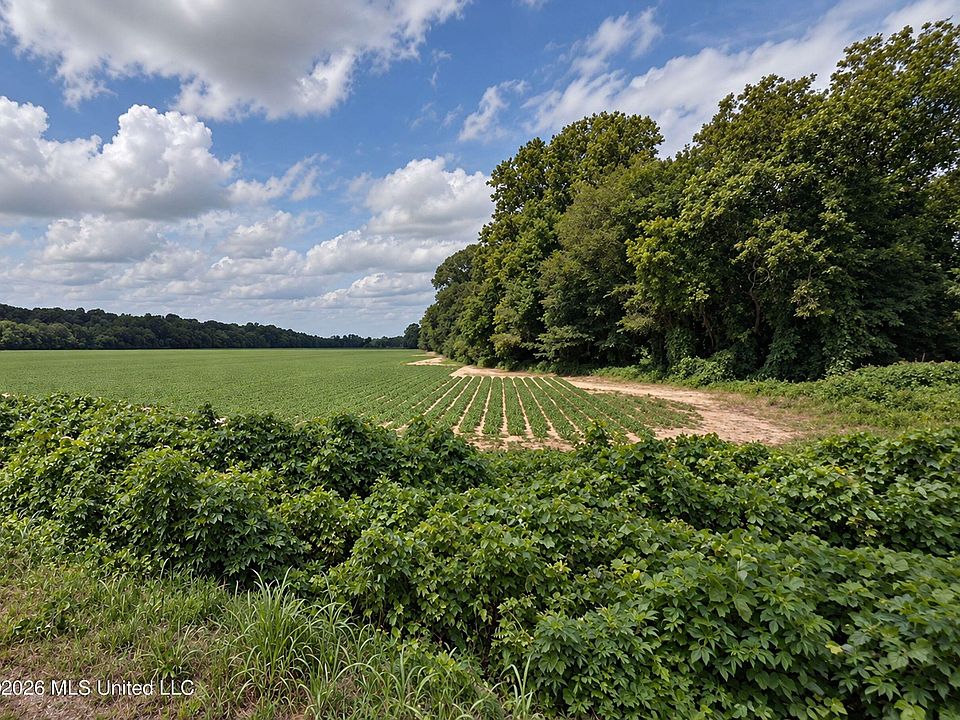 1st image of Old Panola Rd