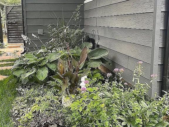 side yard landscaping