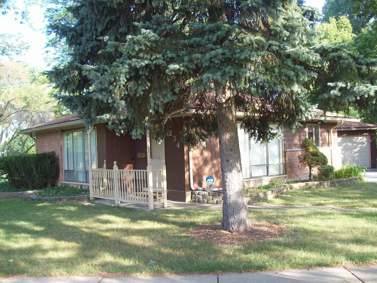 234 Somonauk St photo 1
